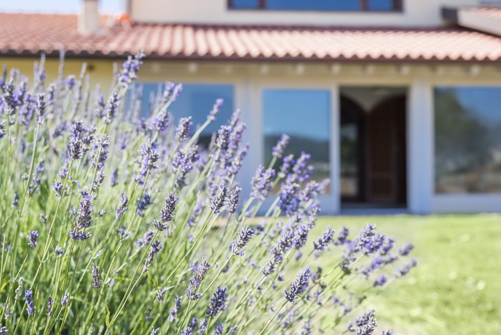 Agriturismo Terre Di Castiglione Castiglione della Pescaia Dış mekan fotoğraf
