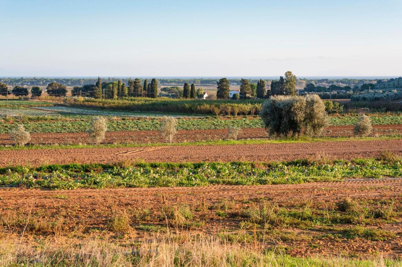 Agriturismo Terre Di Castiglione Castiglione della Pescaia Dış mekan fotoğraf