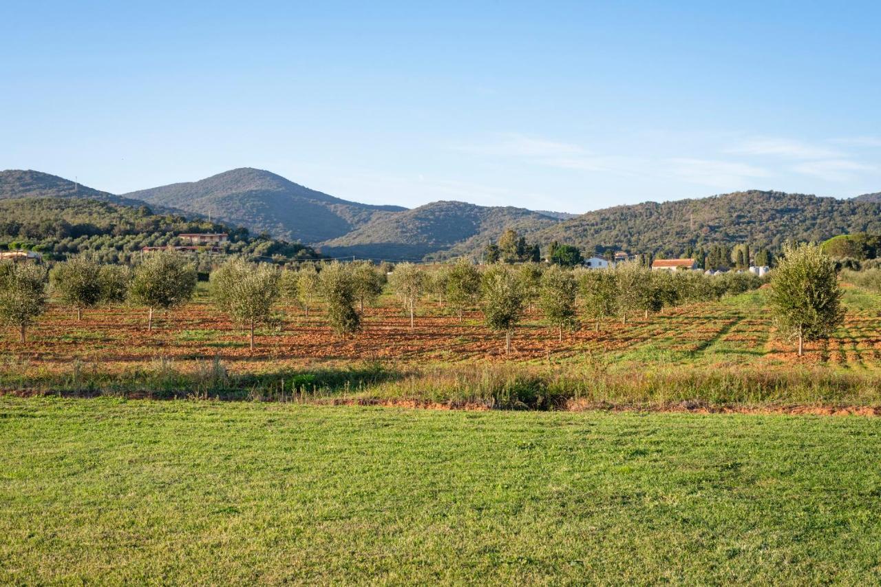 Agriturismo Terre Di Castiglione Castiglione della Pescaia Dış mekan fotoğraf