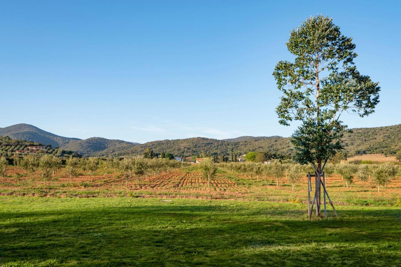 Agriturismo Terre Di Castiglione Castiglione della Pescaia Dış mekan fotoğraf