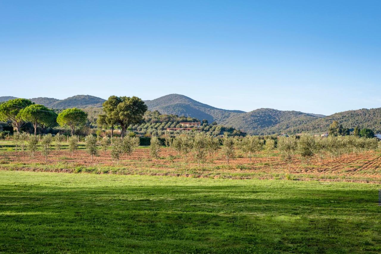 Agriturismo Terre Di Castiglione Castiglione della Pescaia Dış mekan fotoğraf